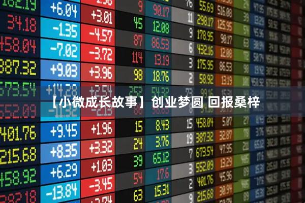 【小微成长故事】创业梦圆 回报桑梓